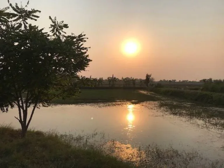 ขายที่ดินสวนเกษตร 30-3-14ไร่ จรเข้สามพัน แปลงสวย ทำเลดี เดินทางสะดวก ในอำเภออู่ทอง สุพรรณบุรี