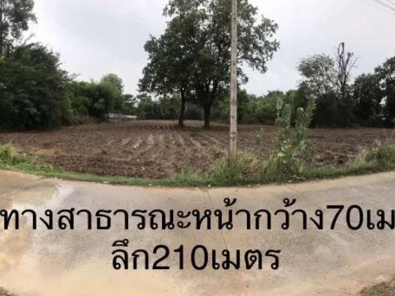 ขายที่ดิน12ไร่ จอุบล ใกล้เซ็นทรัล