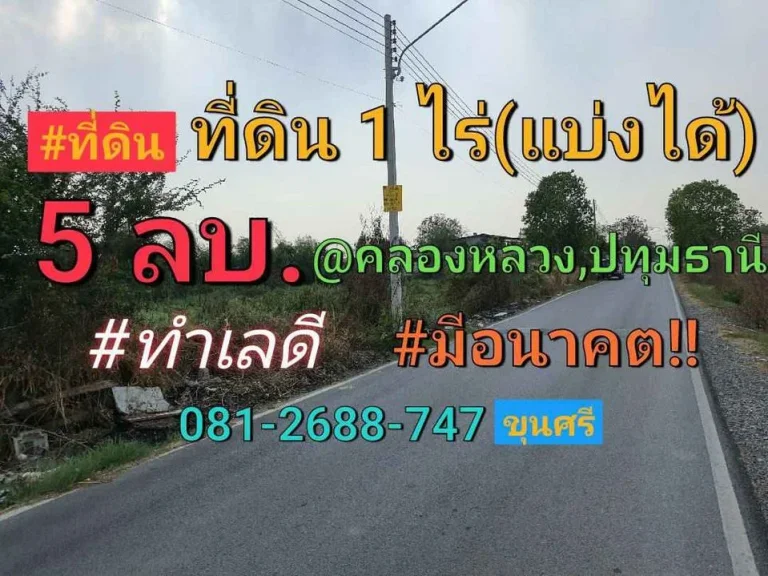 ขายที่ดินเนื้อที่ 1 ไร่ 400 ตรว 2 โฉนดติดกัน - ปัจจุบันเป็นที่ดินเปล่า ยังไม่ได้ถม