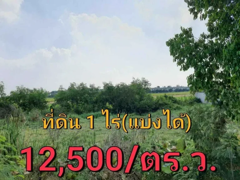 ขายที่ดินเนื้อที่ 1 ไร่ 400 ตรว 2 โฉนดติดกัน - ปัจจุบันเป็นที่ดินเปล่า ยังไม่ได้ถม