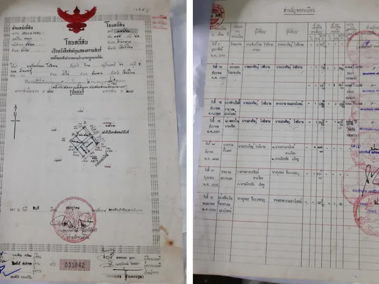 ขาย ที่ดินแปลงหัวมุม ในโครงการจัดสรร อำเภอสันทราย เชียงใหม่ ใกล้มหาวิทยาลัยแม่โจ้ เนื้อที่ 146 ตรวา