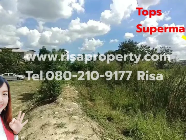 ขายที่ดินท่าอิฐปากเกร็ด นนทบุรี ใกล้ถนนราชพฤกษ์ ใกล้รถไฟฟ้า l Risapropertycom