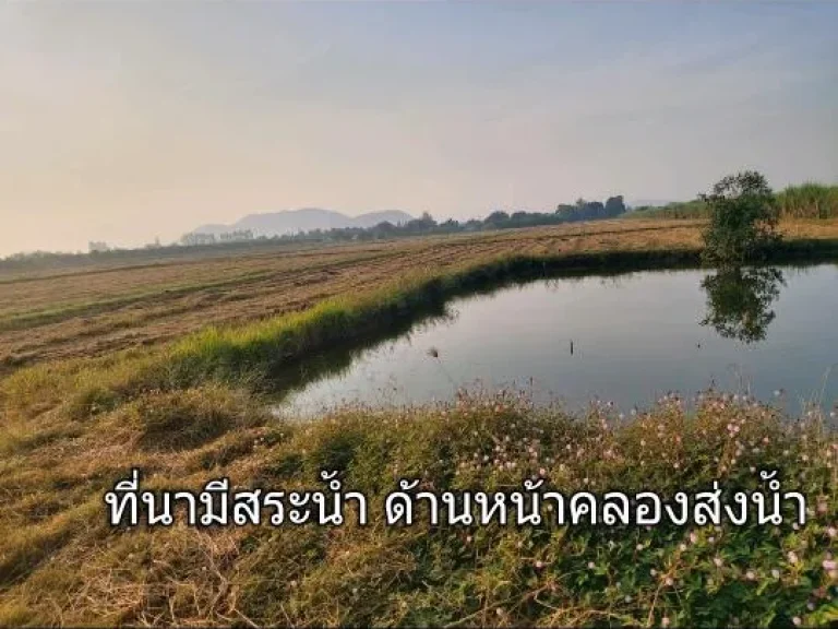 ที่นาและไร่อ้อย เจ้าของขายเอง