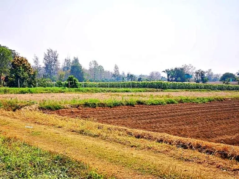 ขายที่ดิน ใกล้คลองชลประทาน ตำบลแม่แฝก อำเภอสันทราย จังหวัดเชียงใหม่