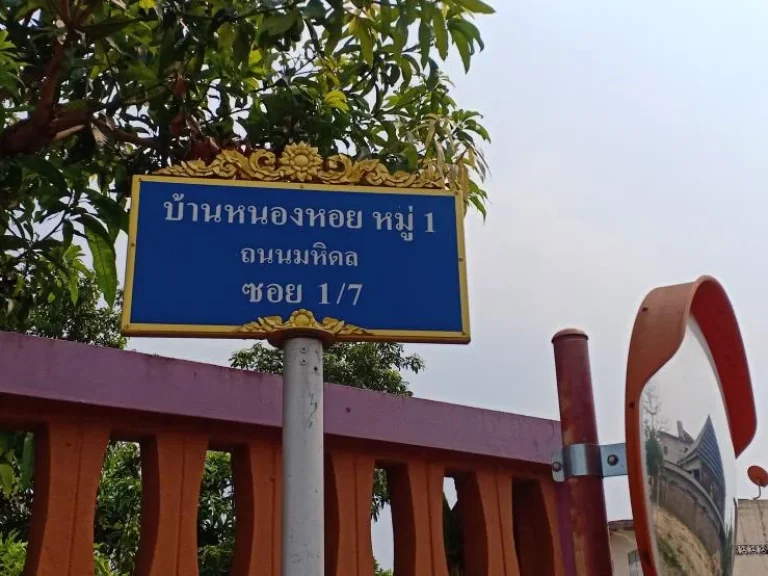 ขายที่ดินหนองหอยห่างถนนมหิดลเพียง 100เมตร ราคาถูก