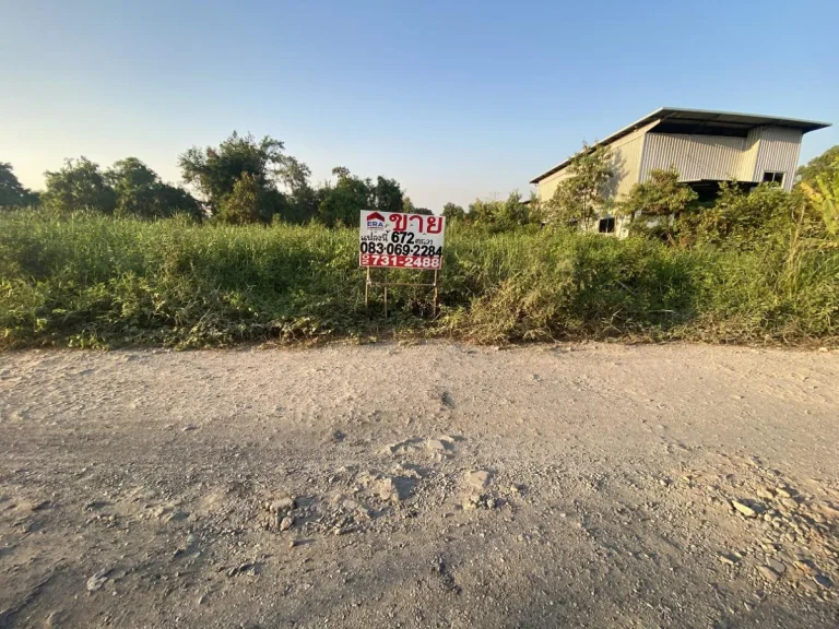 ขายที่ดิน ราชวินิตบางแก้วเมืองแก้ว สมุทรปราการ อยู่หลังห้างอีเกียเมกะบางนา