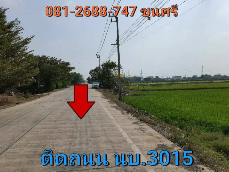 ขายที่ดินสีม่วง 5 ไร่ ติดถนน นบ3015 ตำบลไทรใหญ่ อำเภอไทรน้อย นนทบุรี