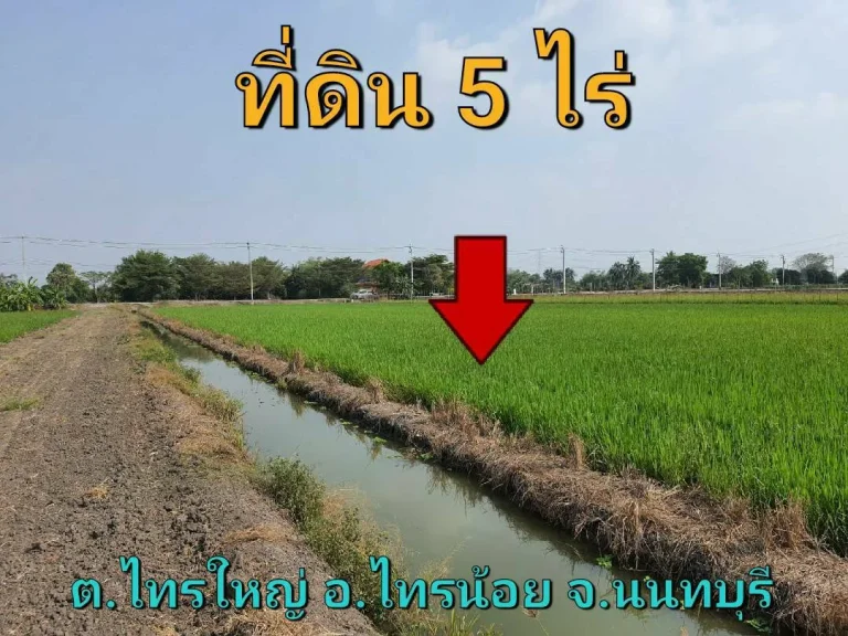 ขายที่ดินสีม่วง 5 ไร่ ติดถนน นบ3015 ตำบลไทรใหญ่ อำเภอไทรน้อย นนทบุรี