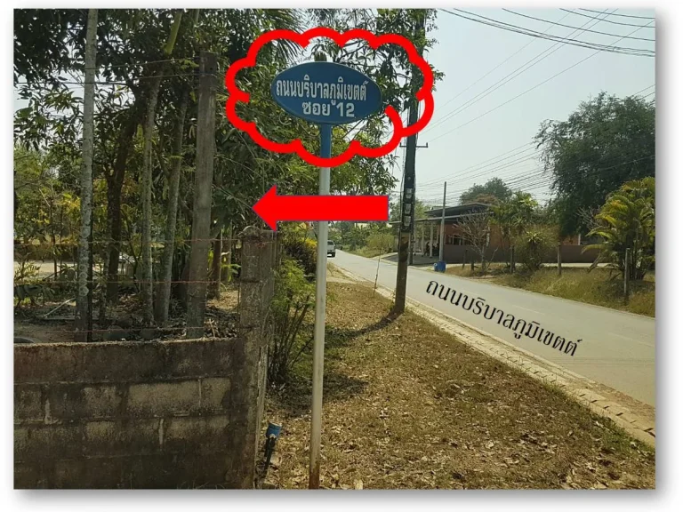 ที่ดินแบ่งขาย 3 ไร่ 3 งาน C83 ตบ้านผือ อบ้านผือ จอุดรธานี 3 Rai 300 sqwa land at Ban Phue Udonthani Province for sale