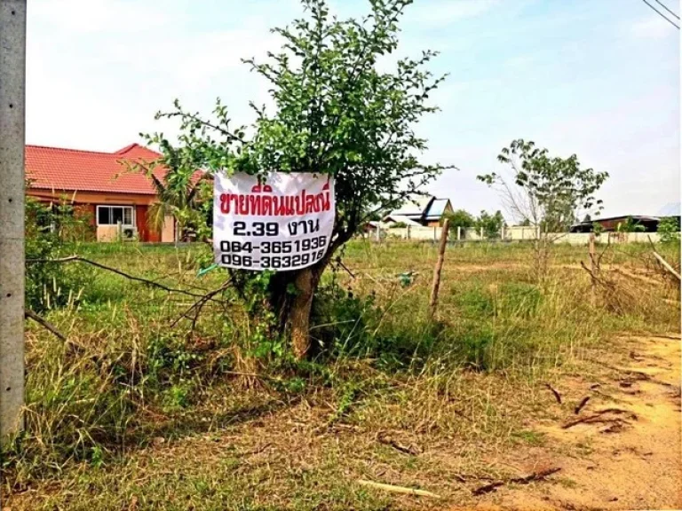 ขายที่ดินแปลงนี้ ด่วน ตำบลนาดี อำเภอเมือง จังหวัดอุดรธานี