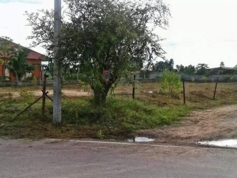 ขายที่ดินแปลงนี้ ด่วน ตำบลนาดี อำเภอเมือง จังหวัดอุดรธานี