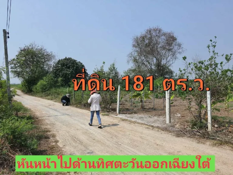 ขายที่ดินราคาถูก 181 ตารางวา ถมแล้วทั้งแปลง ตำบลทวีวัฒนา อำเภอไทรน้อย นนทบุรี