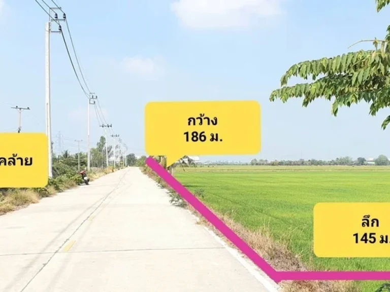 ขายที่ดินไทรน้อย คลองตาคล้าย 19 ไร่ หน้ากว้าง 168 ม ใกล้เมือง แค่ 35 กมจากตัวอำเภอไทรน้อย นนทบุรี