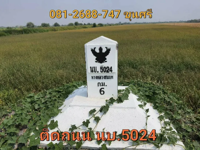 ขายที่ดิน 7 ไร่ 21 ตารางวา ติดถนน นบ5024 ตำบลไทรใหญ่ อำเภอไทรน้อย นนทบุรี