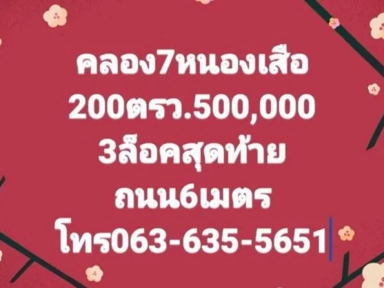 ขายที่ดินคลอง 7 หนองเสือ 3 ล็อคสุดท้าย ใกล้ชุมชน 200 ตรว ห่างหมู่บ้านสุดารัตน์ 220 เมตร