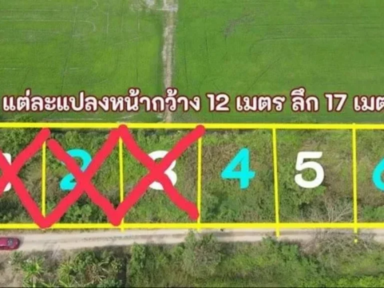 ด่วนสุดหลุดจอง 3 ล็อค โฉนดพร้อมโอน ที่ดินคลอง 9 หนองเสือ ปทุม 50 ตรว ติดถนนในซอยข้างซอยขุนดี