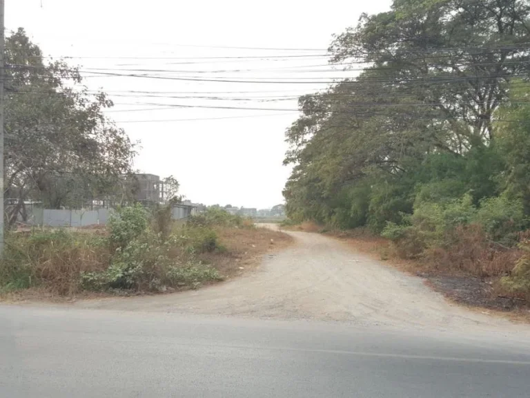 ที่ดินติดแม่น้ำเจ้าพระยา รหัสทรัพย์ อย026 ขายที่ดินติดแม่น้ำเจ้าพระยา ทำเลใกล้เมืองอยุธยาศาลากลางอยุธยา เนืัอที่ 1-3-10 ไร่