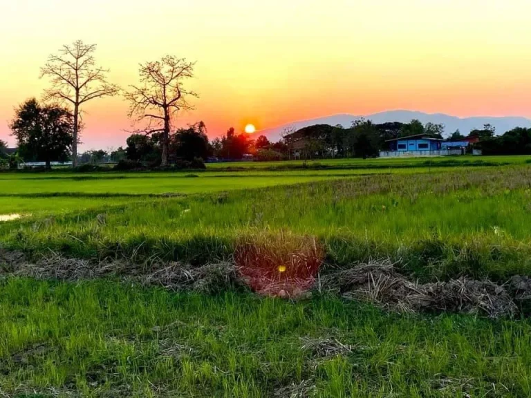 ขายที่ดินลวงเหนือ ดอยสะเก็ต วิวดอย ราคาถูก