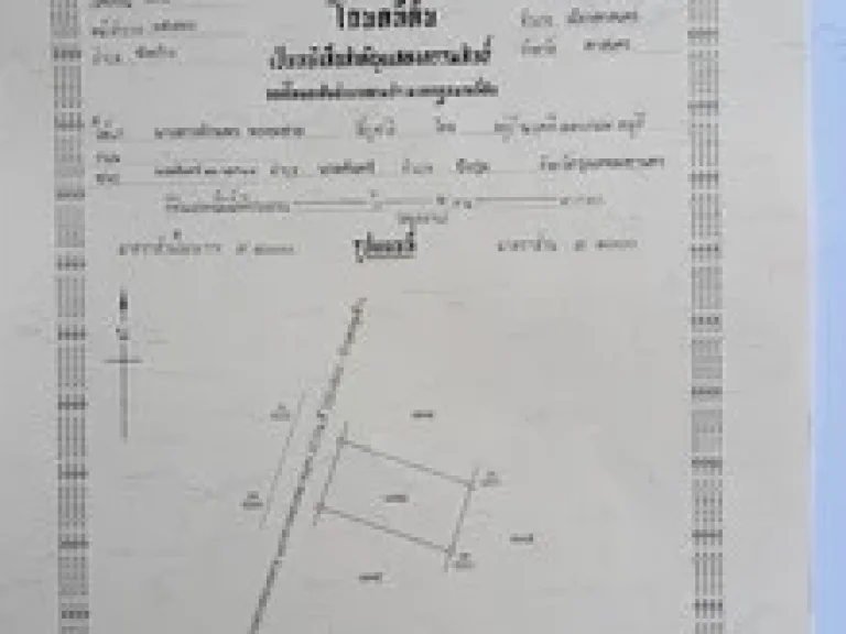 ขายที่ดินถมแล้วบ้านโนนสูง 3 ล็อค ล็อคละ 200 ตรวา