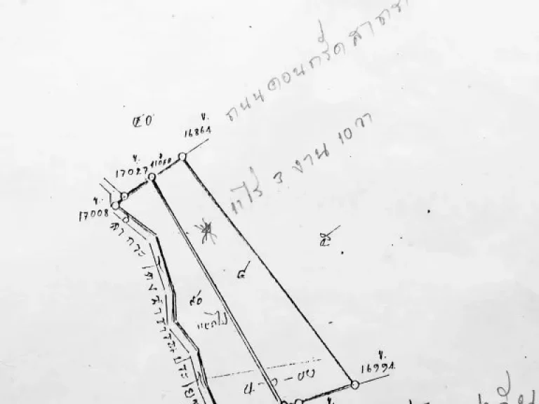 ขายที่ดิน สวนมะพร้าว 11-3-10 ไร่ ติดแม่น้ำท่าจีน สมุทรสาคร