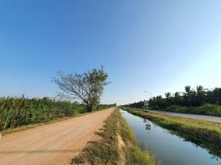 ที่ดินบ้านสิงห์ โพธาราม จราชบุรี เริ่มต้น 499000 บาท160 ตรว ถมแล้ว