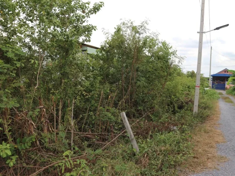 ที่ดิน 62 ตรว หมู่ 5 ซอย ทวีสุข 21 ถนนติวานนท์ รังสิต - ปทุมธานี