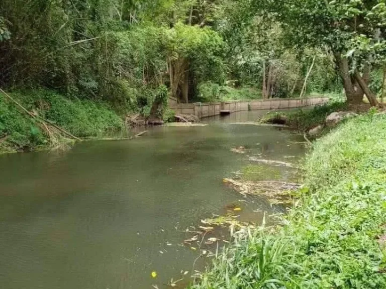 ขายที่เขาใหญ่ติดน้ำ 2ไร่ 2งาน หมูสี ธนรัชต์ ติดลำตะคอง น้ำผุดธรรมชาติ ใกล้อุทยานแห่งชาติเขาใหญ่ ที่สวยมากติดเขาติดน้ำ ทำเลดี ด่วน ราคาคุยกันได้ค่ะ