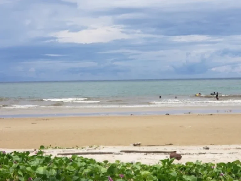 ที่ดินแปลงสวย ริมทะเล ติดหาดแหลมแม่พิมพ์ สวยๆหายากแล้วแบบแปลงนี้