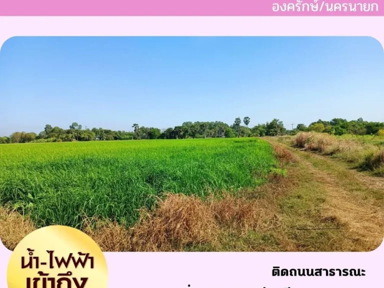 ขายที่ดินนครนายก ที่นาติดถนนสาธารณะ 15 ไร่ โครงการ บางสมบูรณ์ องครักษ์