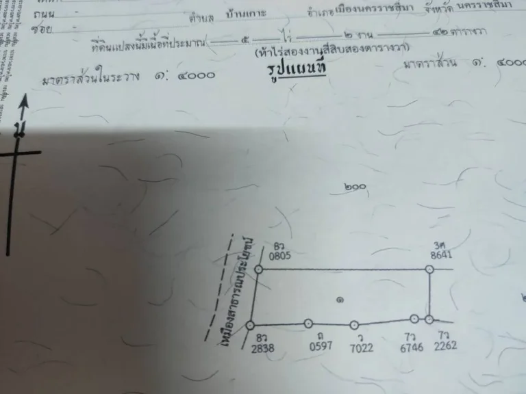 ขายที่ดินโฉนด5ไร่2งาน42ตารางวาตำบลกำปังอำเภอโนนไทยจังหวัดนครราชสีมา