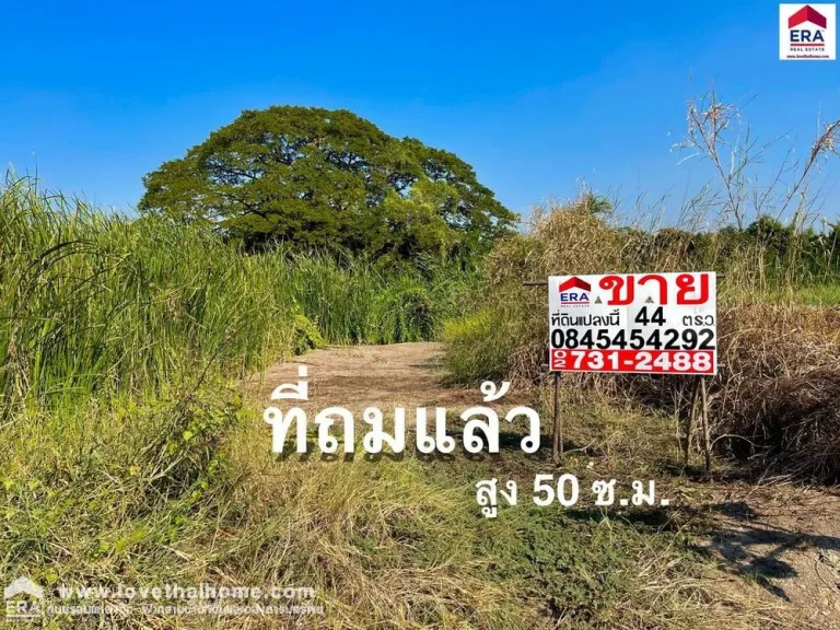 ขายที่ดิน ถแจ้งวัฒนะ10 ในซวิโรจน์สามัคคี ใกล้สนามบินดอนเมือง และBTS หลักสี่ ที่ถมแล้ว