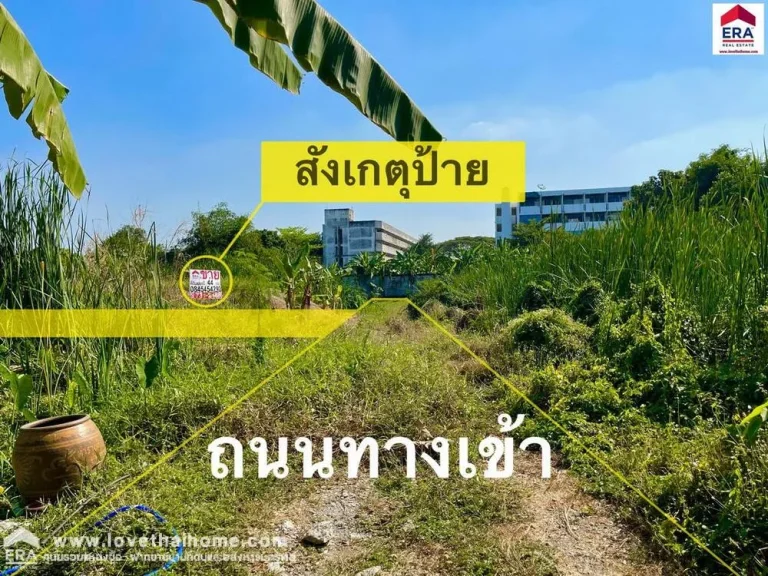 ขายที่ดิน ถแจ้งวัฒนะ10 ในซวิโรจน์สามัคคี ใกล้สนามบินดอนเมือง และBTS หลักสี่ ที่ถมแล้ว