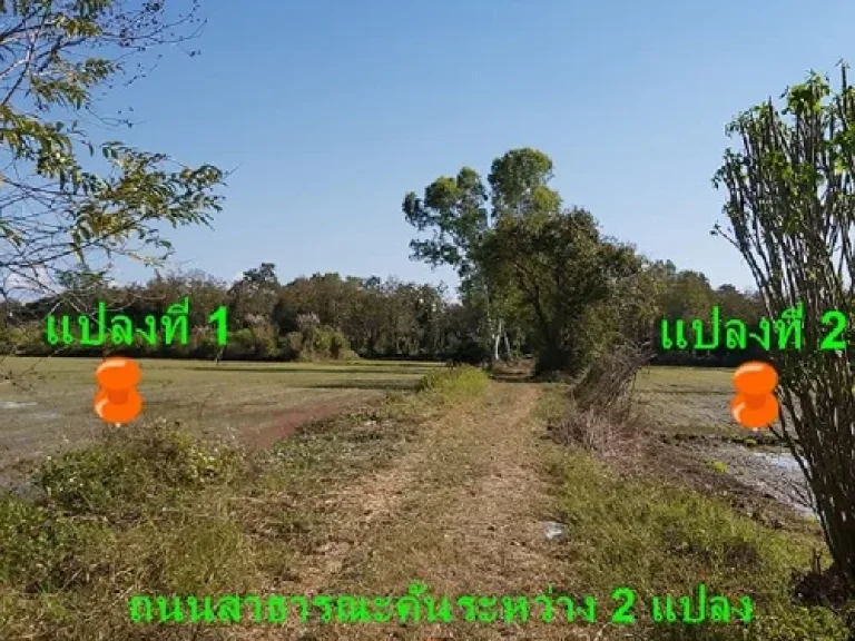 ขายที่ดินทำเลดีมาก ตรอบเวียง อเมืองเชียงราย ติดถนนพ่อขุนเม็งราย-อเวียงชัย-ป่ายางมนต์ 1232