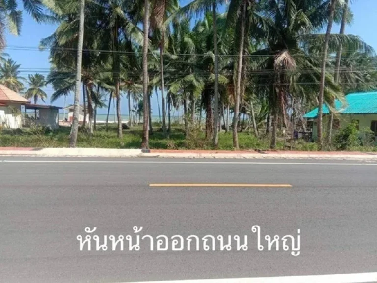 ขายด่วนที่ดินติดถนน ใกล้หาดเพียง 300 ม ตปากน้ำ อหลังสวน จชุมพร 3ไร่ 36 ตรว