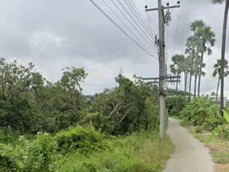 ขายที่ดินตำบลอุโมงค์ติดถนนลาดยางใกล้เมืองลำพูนพร้อมโอน