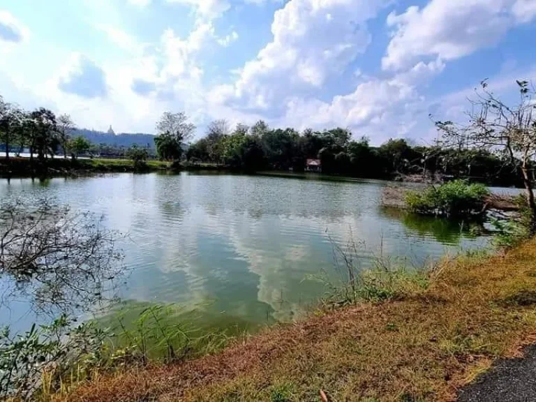 ขายบ้านสวนดอยสะเก็ตห่างที่ว่าการอำเภอเพียง3กม วิวท้องนา พระธาตุพร้อมโอนราคาถูก