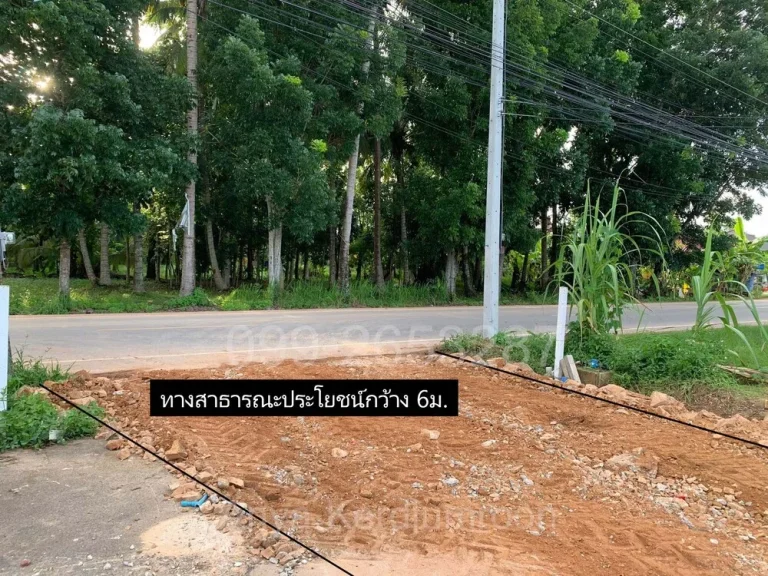 ที่ดินเปล่า ซอยคูขุด ตบางหมาก อเมืองชุมพร จชุมพร