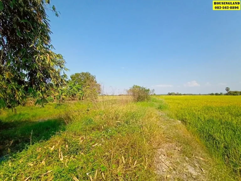 ขายที่ดินใกล้วัดวังบัว ตำบลพิกุลออก อำเภอบ้านนา จังหวัดนครนายก