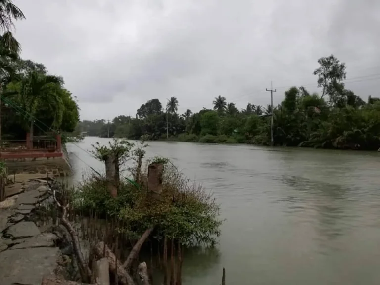 ขายที่ดินติดริมน้ำ ใกล้อัมพวา ทำเลสวยมาก 1 ไร่ 58 ตรว คลองชมหิ้งห้อย