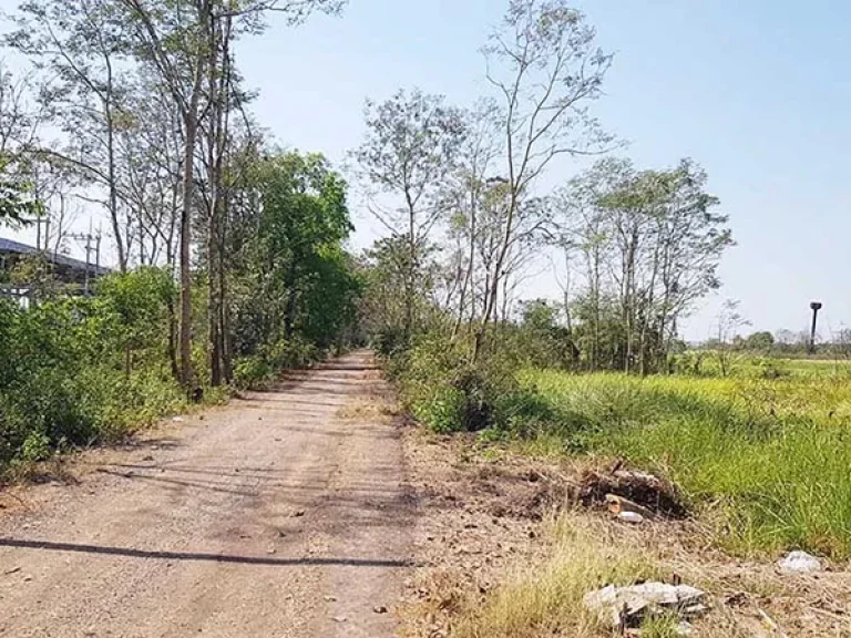 ขายที่ดิน คลอง11 หนองเสือ ปทุมธานี 64ตรว ใกล้ถนนรังสิต-นครนายก เหมาะปลูกบ้านทำสวน ขายราคาถูก