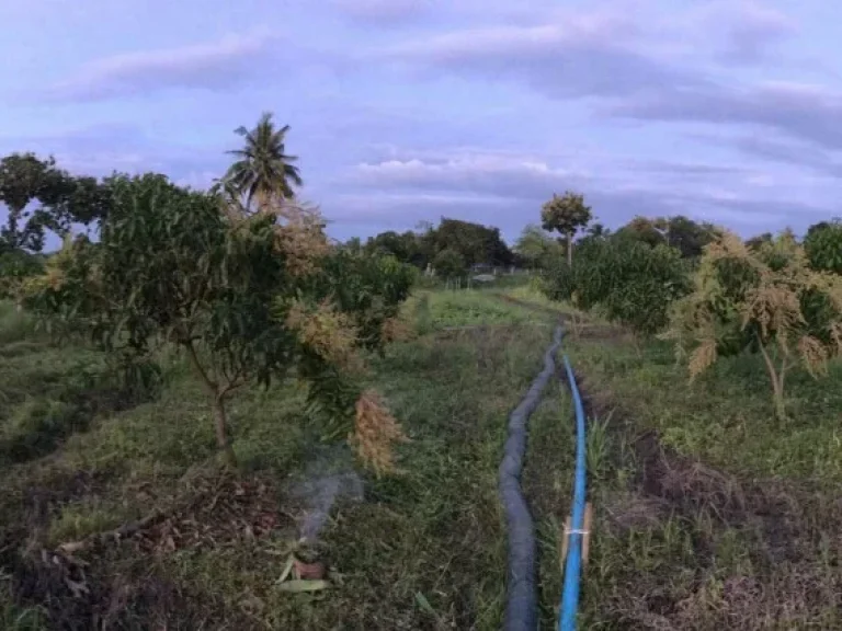 ขายที่ดินติดคลองชลประทาน เหมาะสร้างที่พักอาศัย อำเภอกำแพงแสน จังหวัดนครปฐม โฉนดพร้อมโอน