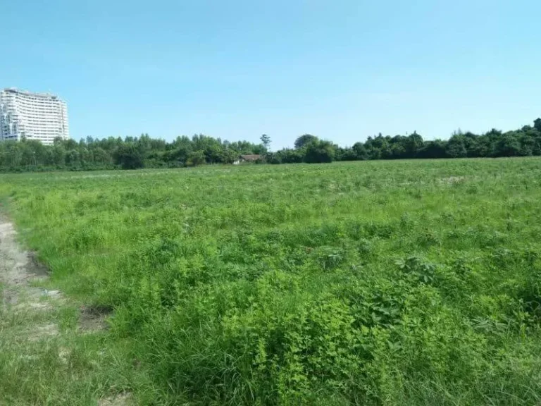 ที่ดินติดหาดพะยูน อ บ้านฉาง จ ระยอง แปลงสวยเนื้อที่ 29 ไร่กว่าๆ