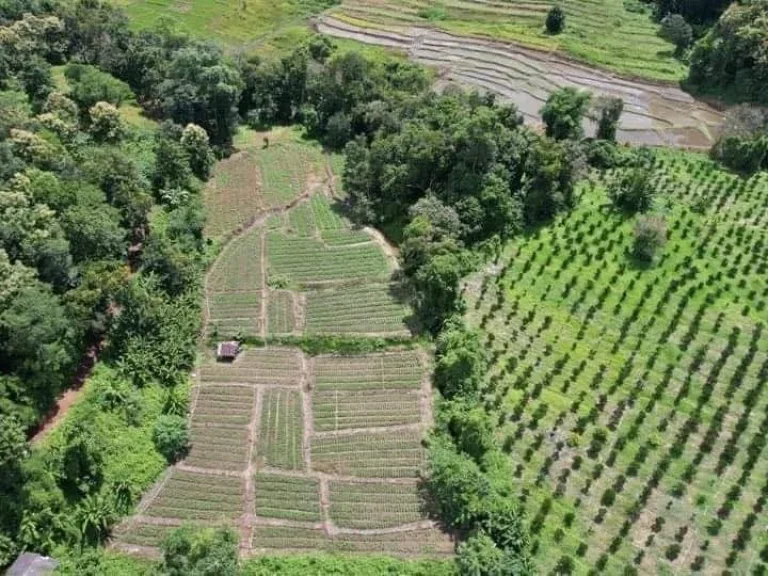 ขายที่ดินติดลำธารน้ำ ห่างอบตสะเมิงเหนือ 1kmโฉนดพร้อมโอน