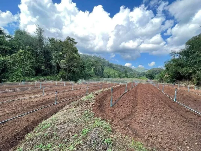 ขายที่ดินติดลำธารน้ำ ห่างอบตสะเมิงเหนือ 1kmโฉนดพร้อมโอน