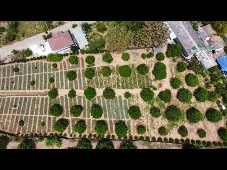 ขายที่ดิน บ้านกู่แดง ตดอนแก้ว อสารภี เชียงใหม่ 