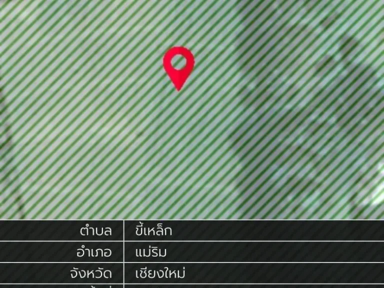 ขายด่วน ที่ดินวิวภูเขาสวย 2-1-53 ไร่ อเเม่ริม เชียงใหม่