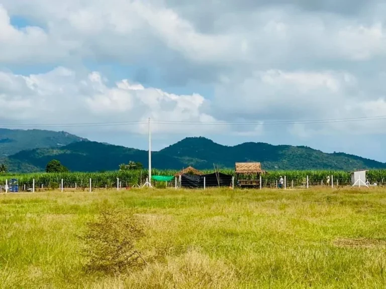 ขายที่ดินหินเหล็กไฟทำเลสวยมากค่ะบรรณยากาสดีวิวเขา360เดินทางสะดวกสบายหาที่ดินแบบนี้ไม่ได้แล้วนะค่ะ