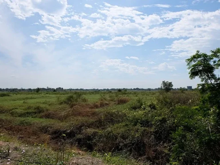 ขายที่ดิน โฉนดครุฑแดง ขนาด 3 ไร่ ติดถนนหลวง บ้านแพน อเสนา จอยุธยา