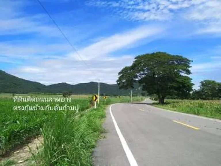 ขายที่ดิน ติดถนนลาดยาง วิวภูเขา น้ำไม่ท่วม ตพระนอน อเมืองนครสวรรค์