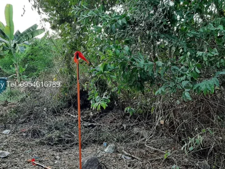 ขายด่วนที่ดินเปล่า ถนนสุขาภิบาล 5 ซอย 5 รามอินทรา 39 ใกล้รถไฟฟ้า สายสีชมพู ย่านบางเขน วัชรพล